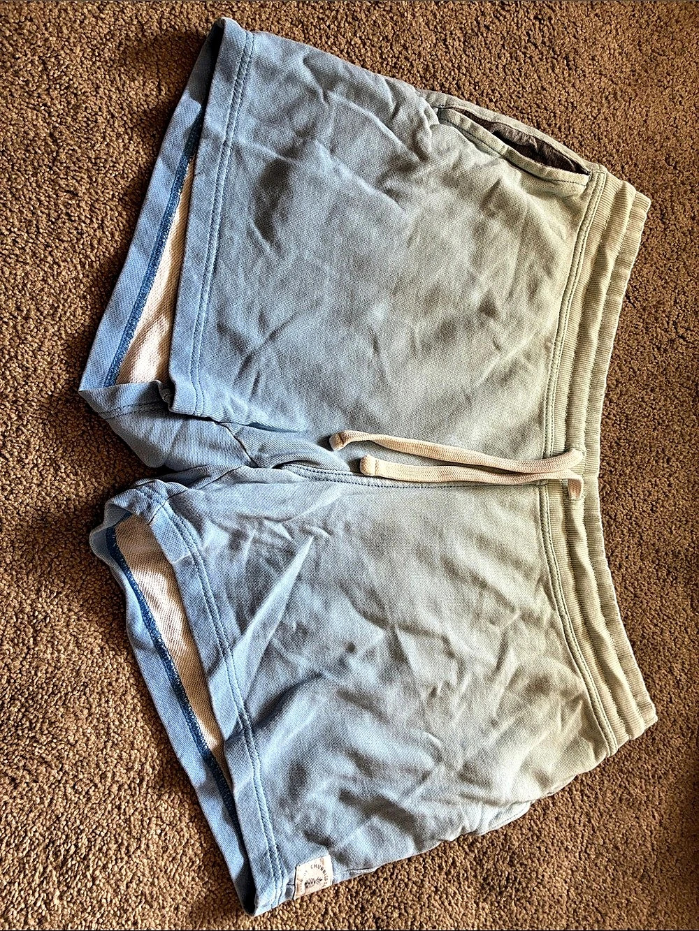 Chubbies Lounge Wear French Terry Shorts 5.5" Blue & Green XL